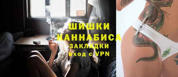 шишки Козельск