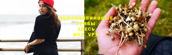героин Козловка