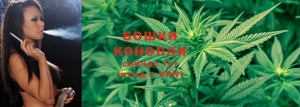 шишки Козельск